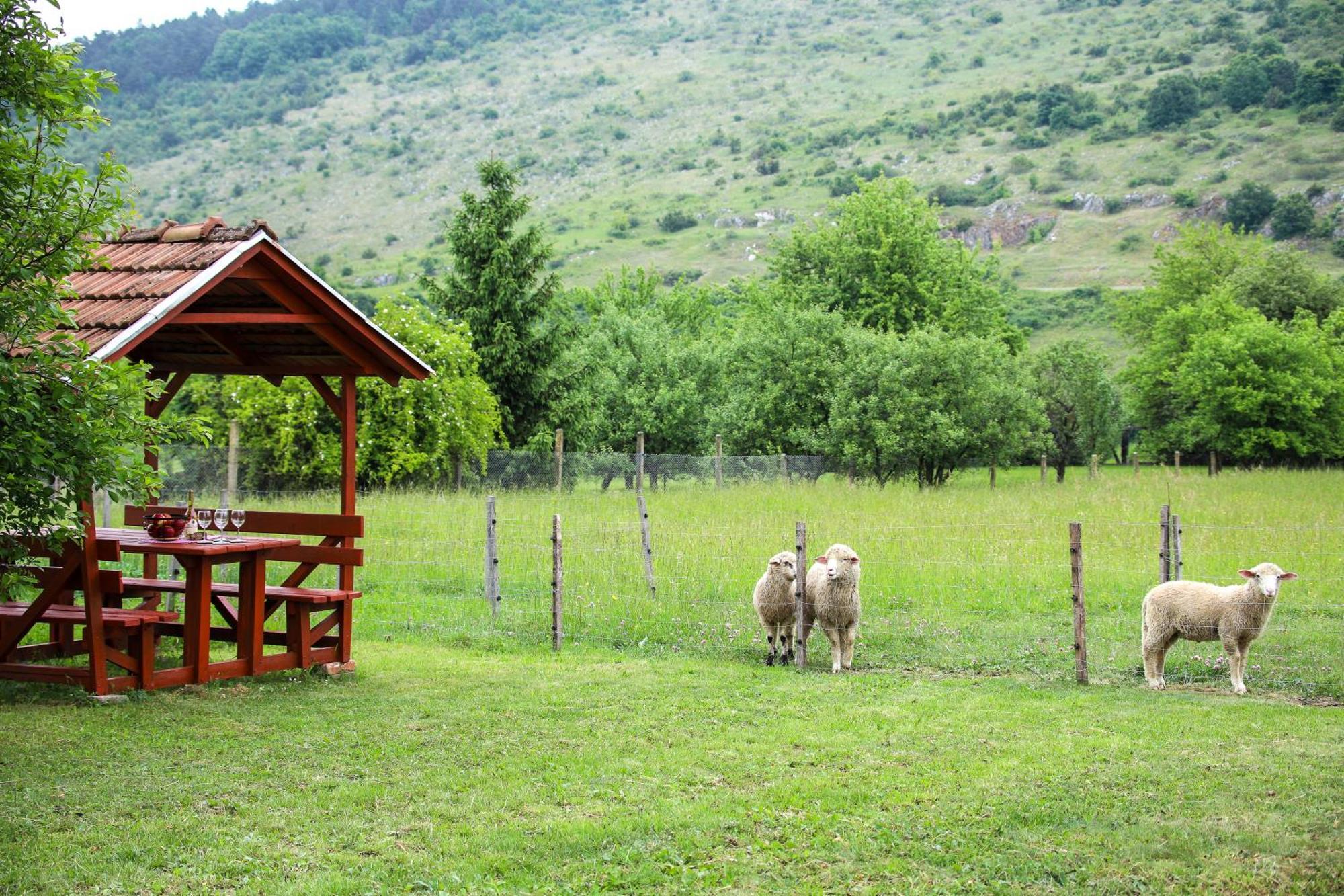 Vad-Lak Vendeghaz Apartment Aggtelek Luaran gambar